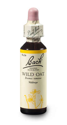 Bach®-Blüte Nr. 36 Wild Oat (Waldtrespe), A-Nr.: 5323417 - 03