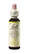 Bach®-Blüte Nr. 35 White Chestnut (Weiße Kastanie), A-Nr.: 5323400 - 01