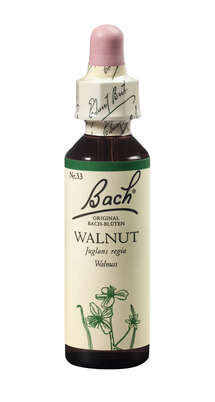 Bach®-Blüte Nr. 33 Walnut (Walnuss), A-Nr.: 5323386 - 01