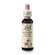 Sie sehen eine Packung Bach®-Blüte Nr. 14 Heather (Schottisches Heidekraut), Produktbild: 02 Bach®-Blüte Nr. 14 Heather (Schottisches Heidekraut), A-Nr.: 5322926 - 02