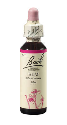 Bach®-Blüte Nr. 11 Elm (Ulme), A-Nr.: 5322895 - 01