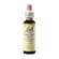 Sie sehen eine Packung Bach®-Blüte Nr. 7 Chestnut Bud (Kastanienknospe), Produktbild: 01 Bach®-Blüte Nr. 7 Chestnut Bud (Kastanienknospe), A-Nr.: 5322843 - 01