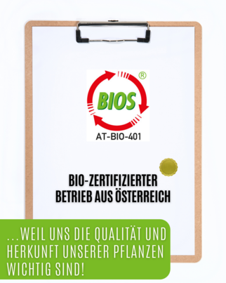 Auwald® - Pfefferminze - BIO Tropfen (Auszug, Extrakt, Essenz), A-Nr.: 5680123 - 02