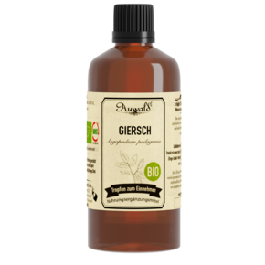Auwald® - Giersch - BIO Tropfen (Auszug, Extrakt, Essenz), A-Nr.: 5709849 - 01