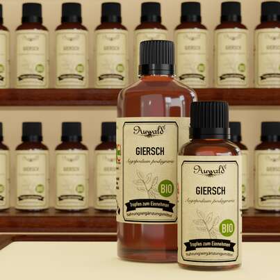 Auwald® - Giersch - BIO Tropfen (Auszug, Extrakt, Essenz), A-Nr.: 5709849 - 04