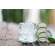 Sie sehen eine Packung Bio Aloe Vera Saft, Premium, aus Mexiko, 1 Liter, 100% pur, Produktbild: 02 Bio Aloe Vera Saft, Premium, aus Mexiko, 1 Liter, 100% pur, A-Nr.: 5229115 - 02