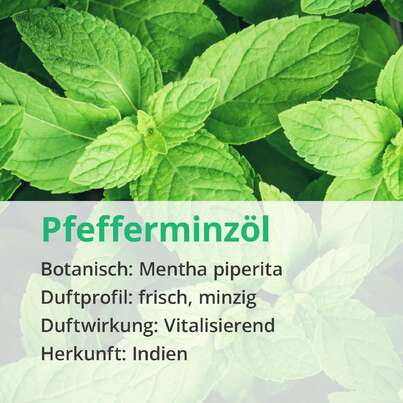 Sie sehen eine Packung Pfefferminzöl, Produktbild: 02 Pfefferminzöl, A-Nr.: 5178530 - 02