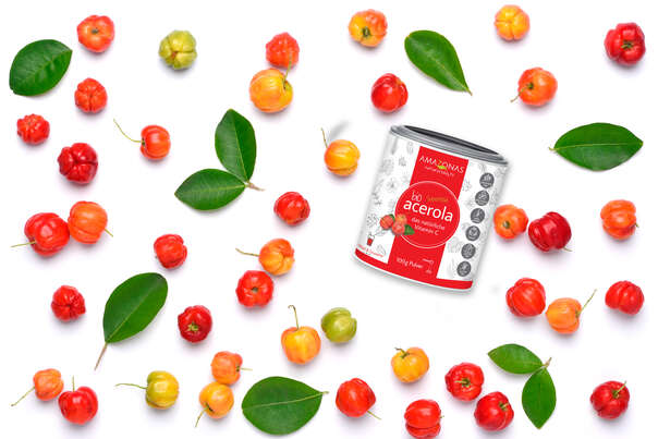 Sie sehen eine Packung BIO Acerola Vitamin C Fruchtpulver, mit 17% natürlichem Vitamin C, 100g, Produktbild: 02 BIO Acerola Vitamin C Fruchtpulver, mit 17% natürlichem Vitamin C, 100g, A-Nr.: 5229026 - 02