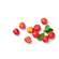 Sie sehen eine Packung BIO Acerola Vitamin C Fruchtpulver, mit 17% natürlichem Vitamin C, 500g, Produktbild: 03 BIO Acerola Vitamin C Fruchtpulver, mit 17% natürlichem Vitamin C, 500g, A-Nr.: 5229032 - 03