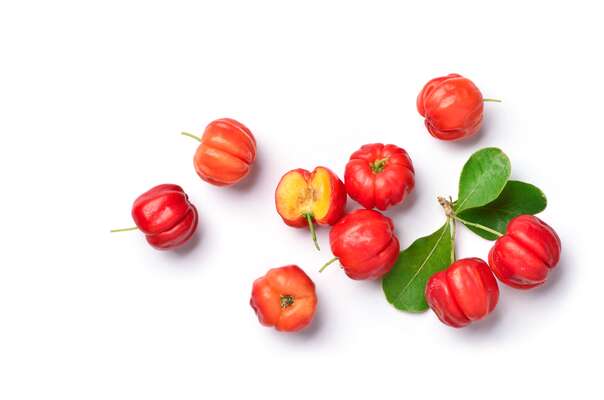 Sie sehen eine Packung BIO Acerola Vitamin C Fruchtpulver, mit 17% natürlichem Vitamin C, 500g, Produktbild: 03 BIO Acerola Vitamin C Fruchtpulver, mit 17% natürlichem Vitamin C, 500g, A-Nr.: 5229032 - 03