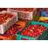 Sie sehen eine Packung BIO Acerola Vitamin C Fruchtpulver, mit 17% natürlichem Vitamin C, 500g, Produktbild: 05 BIO Acerola Vitamin C Fruchtpulver, mit 17% natürlichem Vitamin C, 500g, A-Nr.: 5229032 - 05
