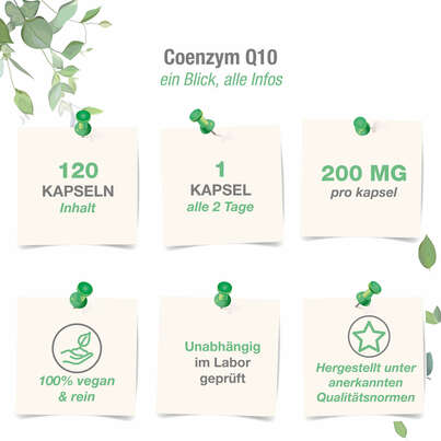 Sie sehen eine Packung Vitabay Coenzym Q10 Ubichinon Komplex 200 mg Kapseln, Produktbild: 04 Vitabay Coenzym Q10 Ubichinon Komplex 200 mg Kapseln, A-Nr.: 5877742 - 04