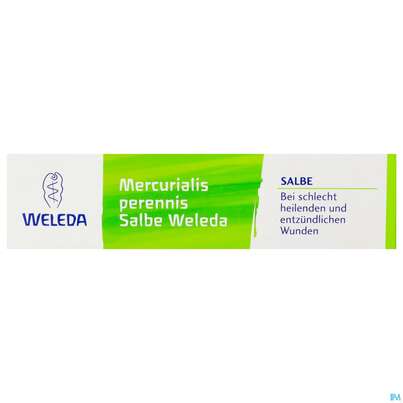 Mercurialis Perennis Salbe 25g, A-Nr.: 1649429 - 01