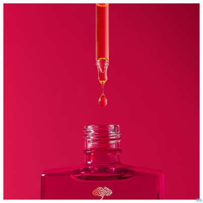 Nuxe Merveillance/lift Firming/activating Oil-serum 30ml, A-Nr.: 5615924 - 07